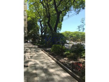 place photo 55