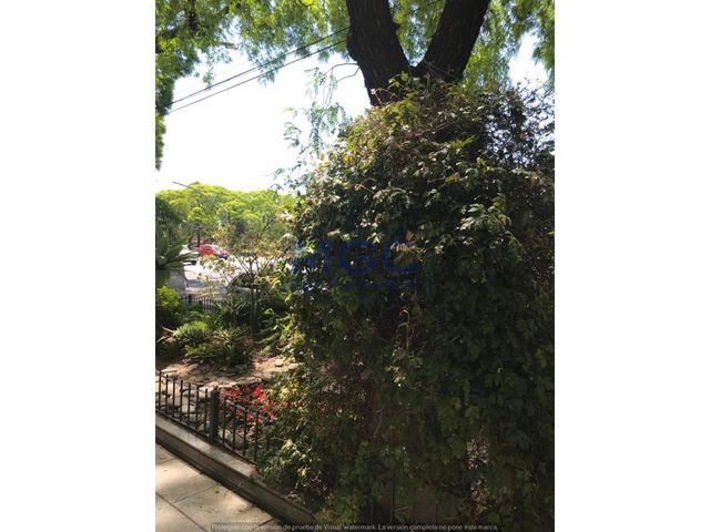 place photo 53