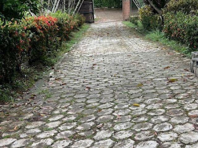 place photo 25