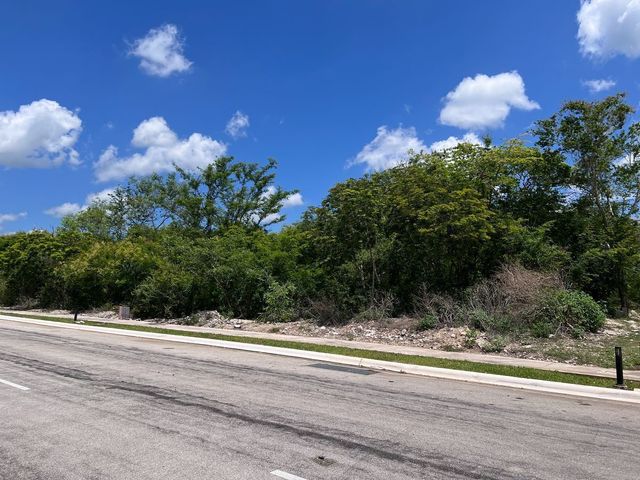 place photo 21