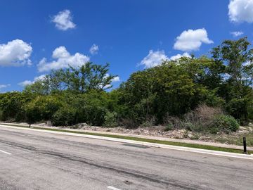 place photo 21