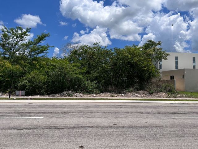 place photo 20
