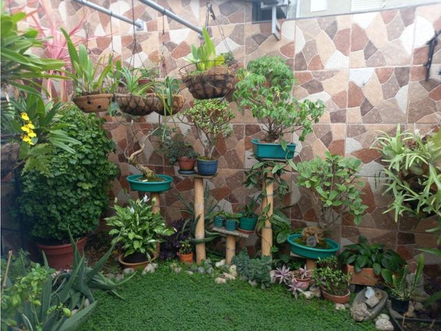 place photo 22