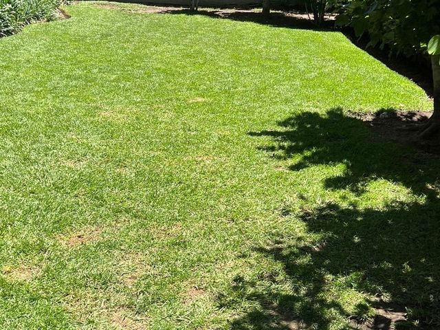 place photo 30