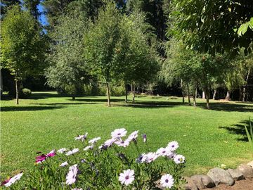 place photo 28