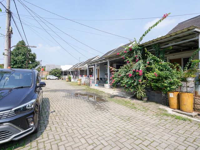 place photo 18