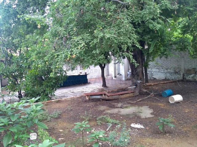 place photo 25