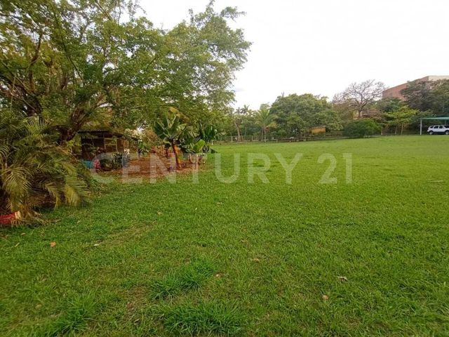 place photo 18