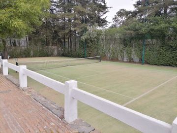 place photo 38