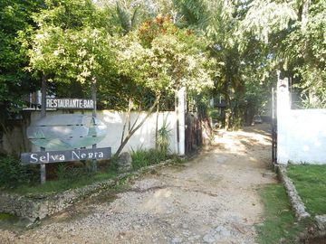 place photo 21