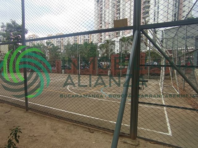 place photo 19