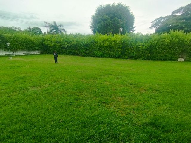 place photo 29