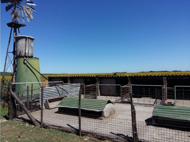 place photo 21