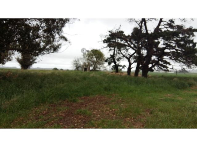 place photo 6