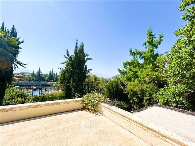 place photo 40