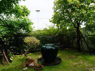 place photo 24