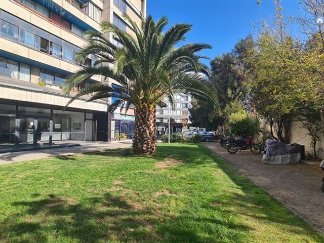place photo 21