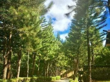 place photo 30
