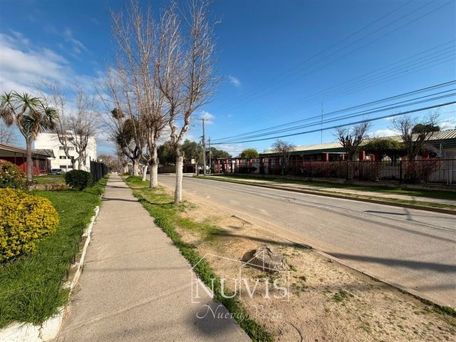 place photo 14