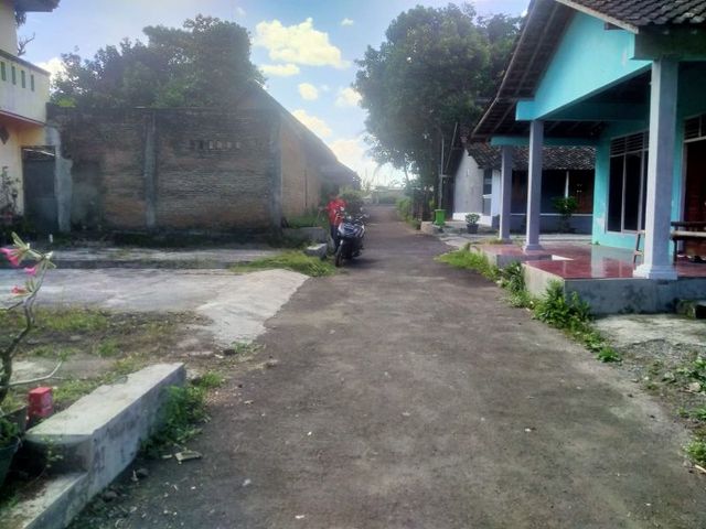 place photo 8