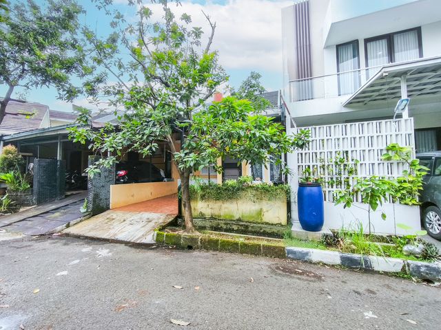 place photo 39