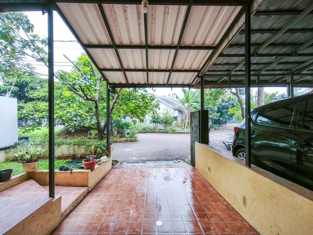 place photo 37