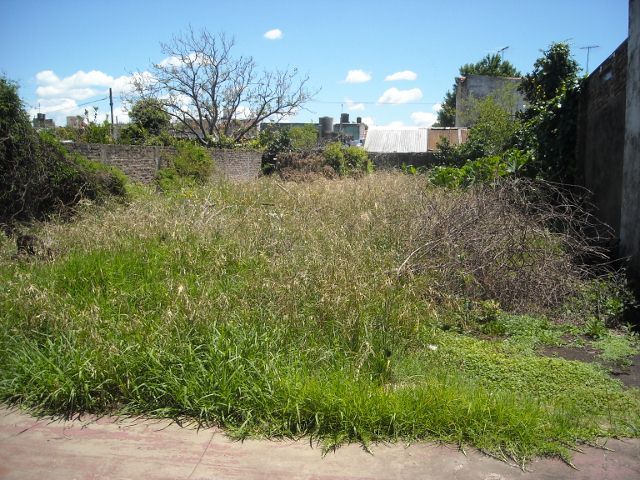 place photo 6