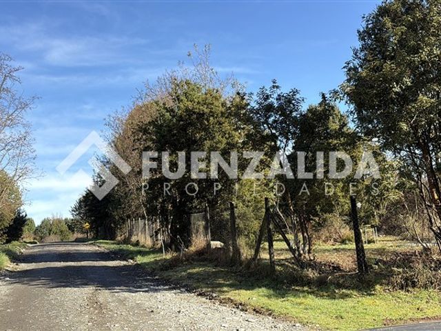 place photo 43