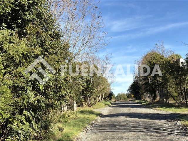 place photo 40
