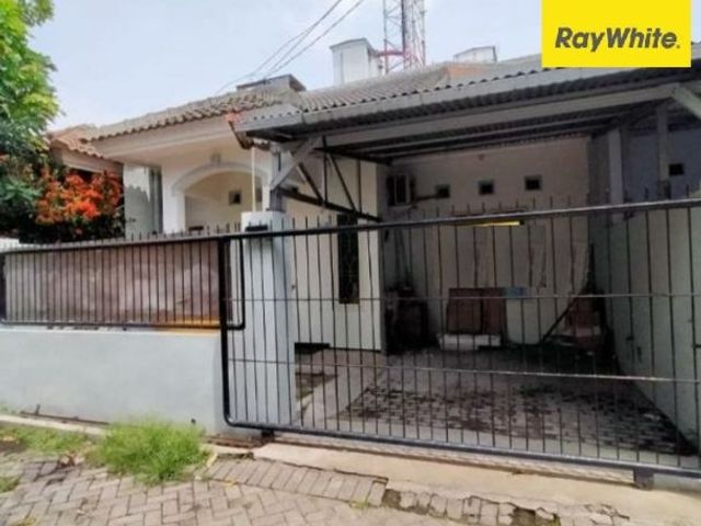 Disewakan Rumah Lokasi di Jl. Ploso Timur, Surabaya