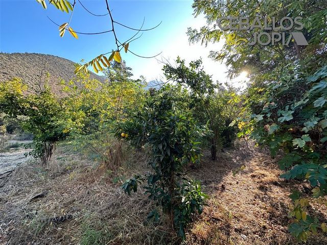 place photo 24
