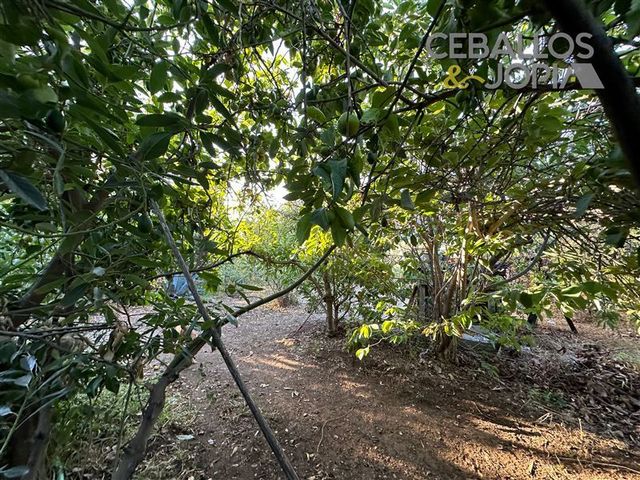 place photo 33