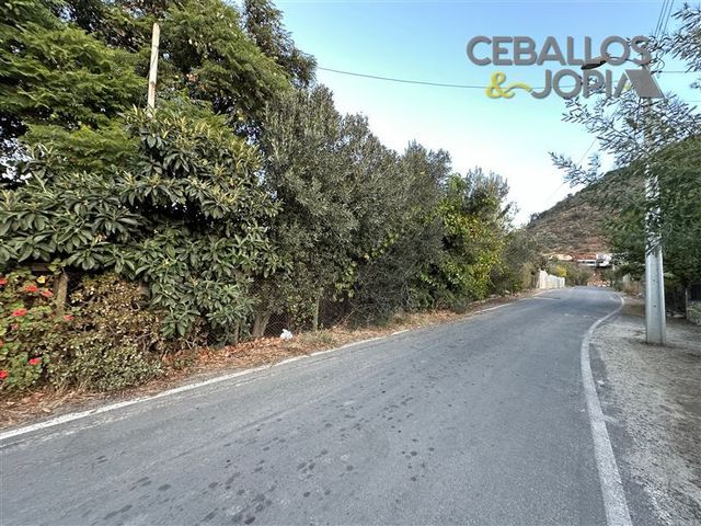 place photo 39