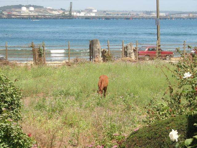 place photo 27