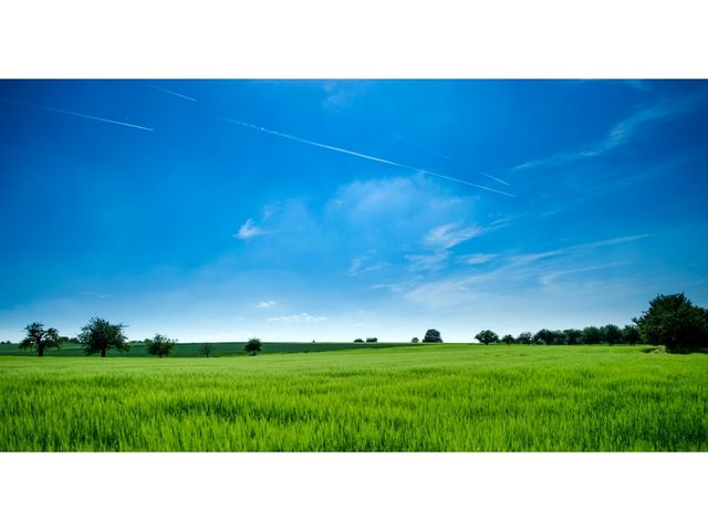 Campo en venta (Tapalque)