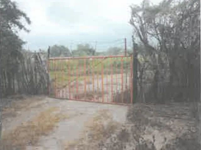 place photo 18