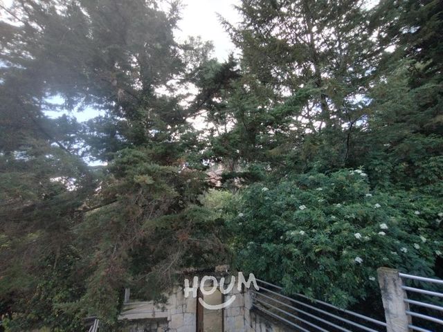 place photo 71