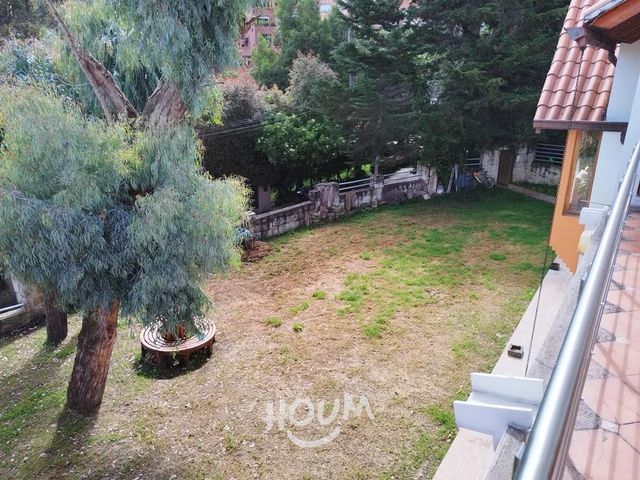 place photo 60
