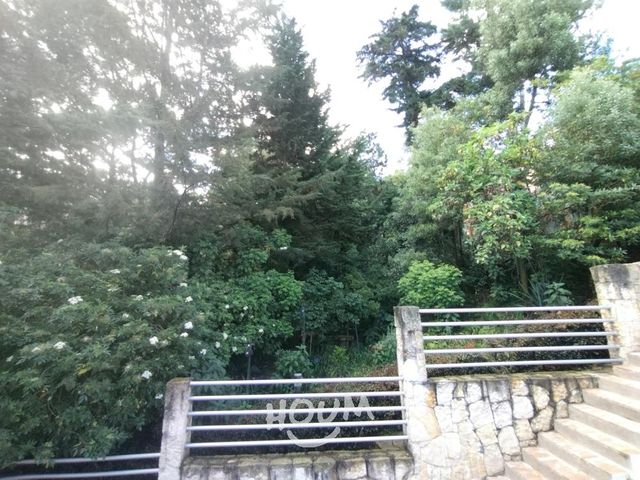 place photo 70