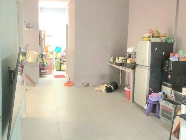 place photo 5