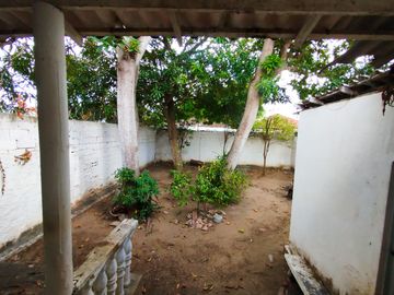 place photo 17