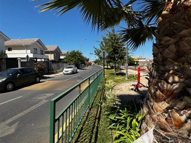 place photo 40