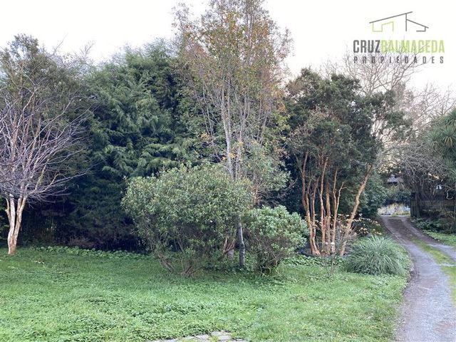 place photo 31