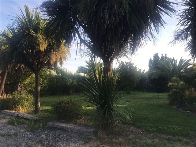 place photo 35