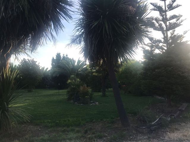 place photo 45