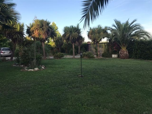 place photo 46