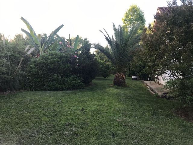 place photo 33