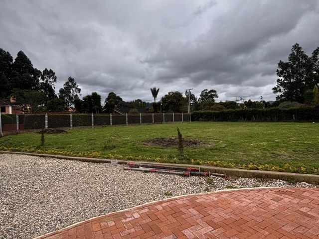 place photo 70