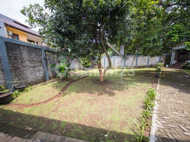 place photo 17