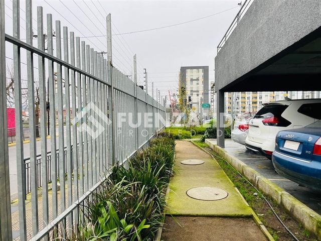 place photo 19